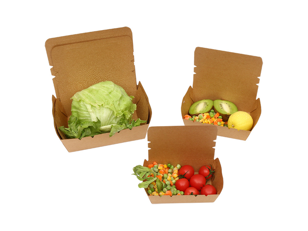 paper-lunch-box