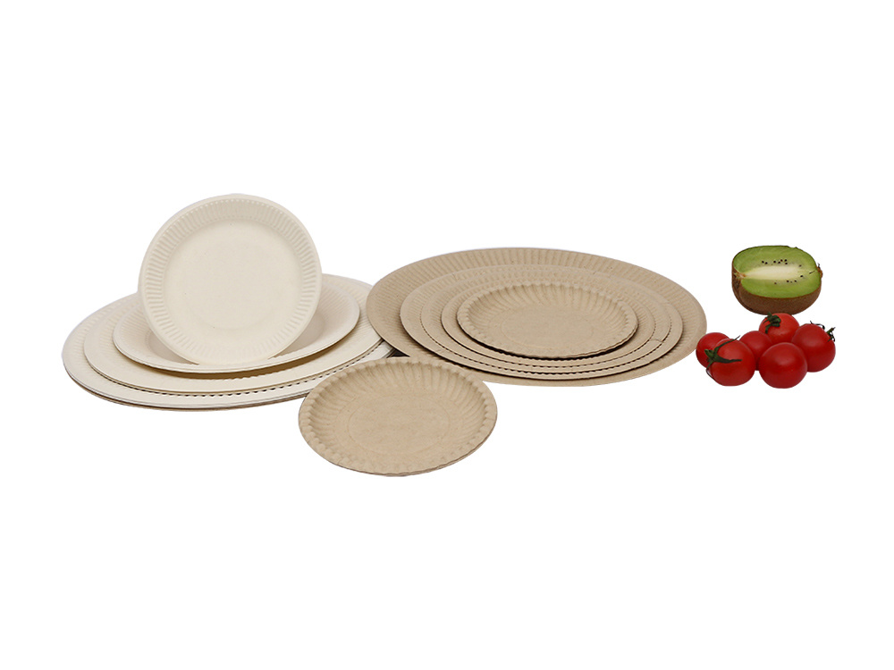Sugarcane  Bagasse Tableware