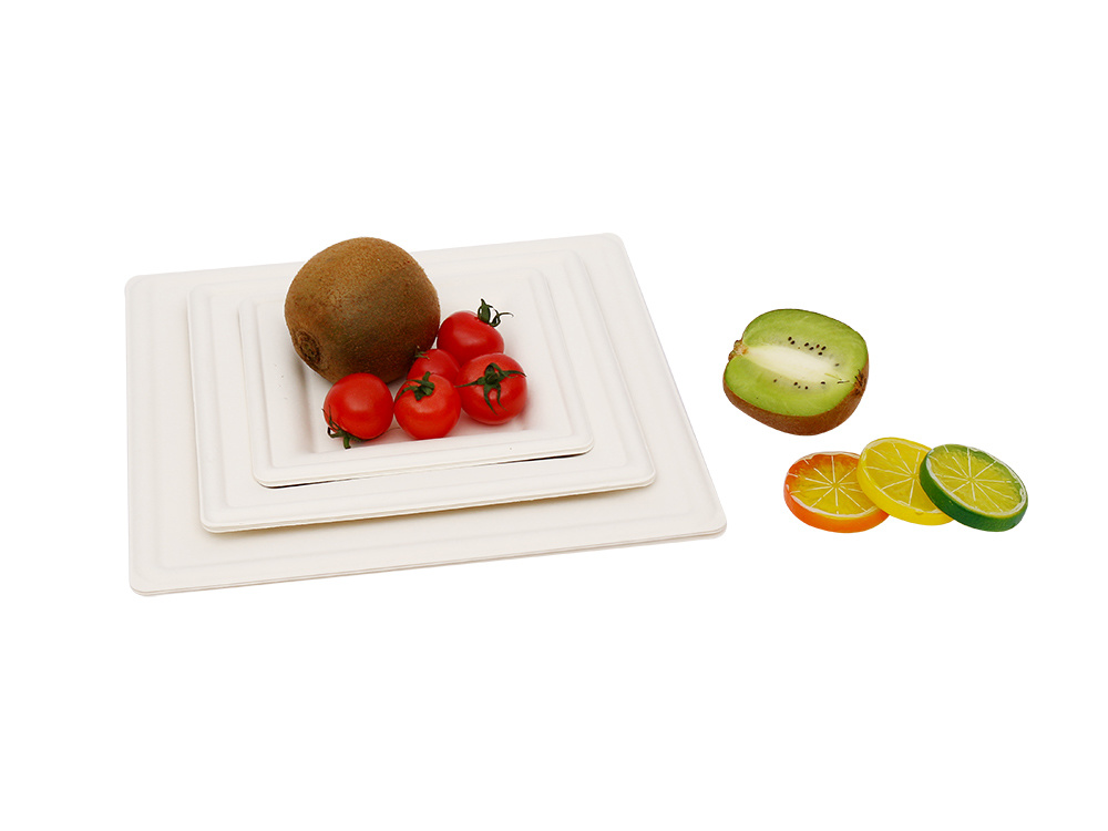 Sugarcane  Bagasse Tableware