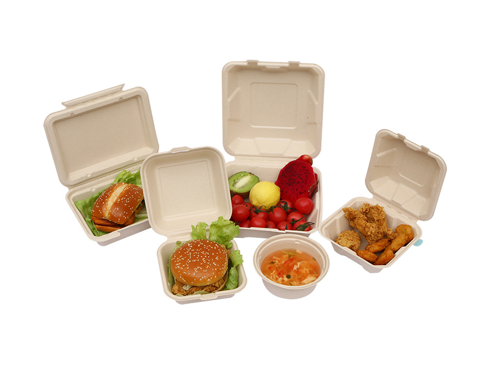 Sugarcane  Bagasse Tableware
