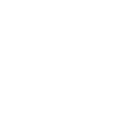 playIcon playIcon