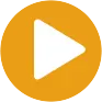 playBtn