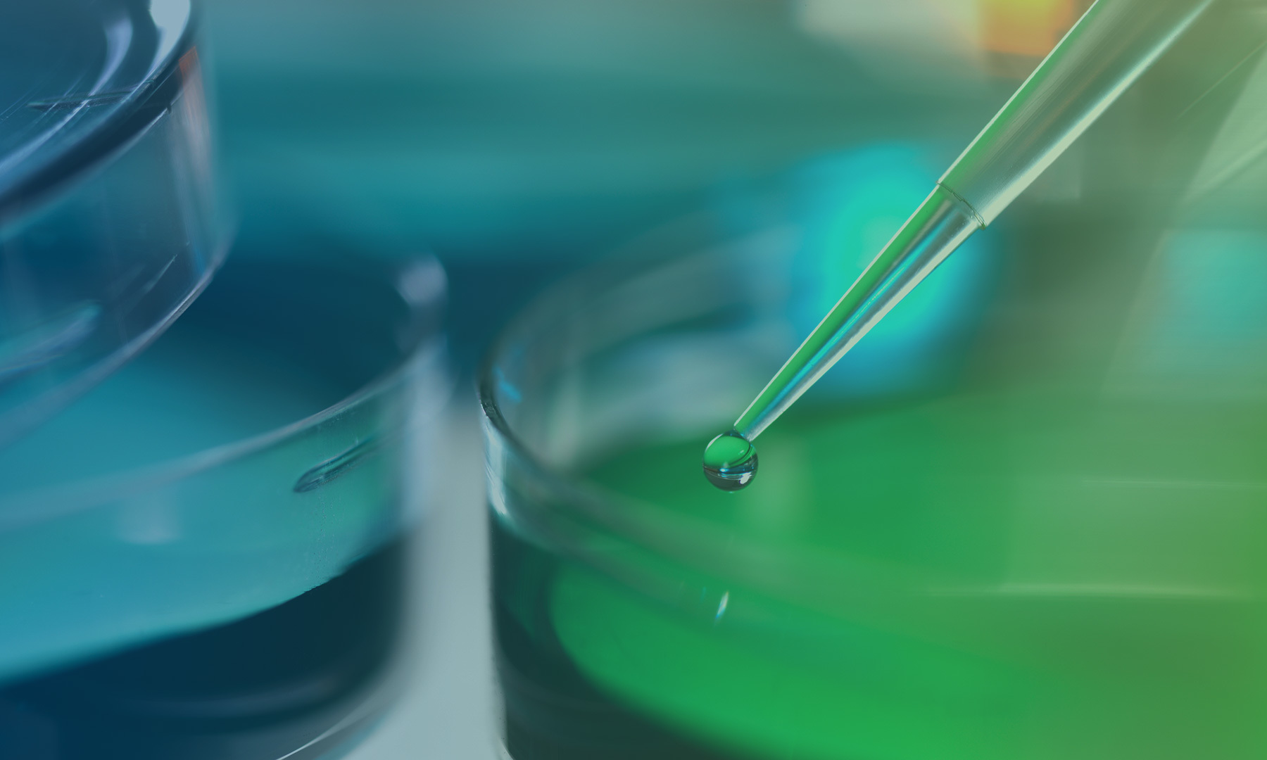 Diagnostic Reagents Diagnostic Reagents