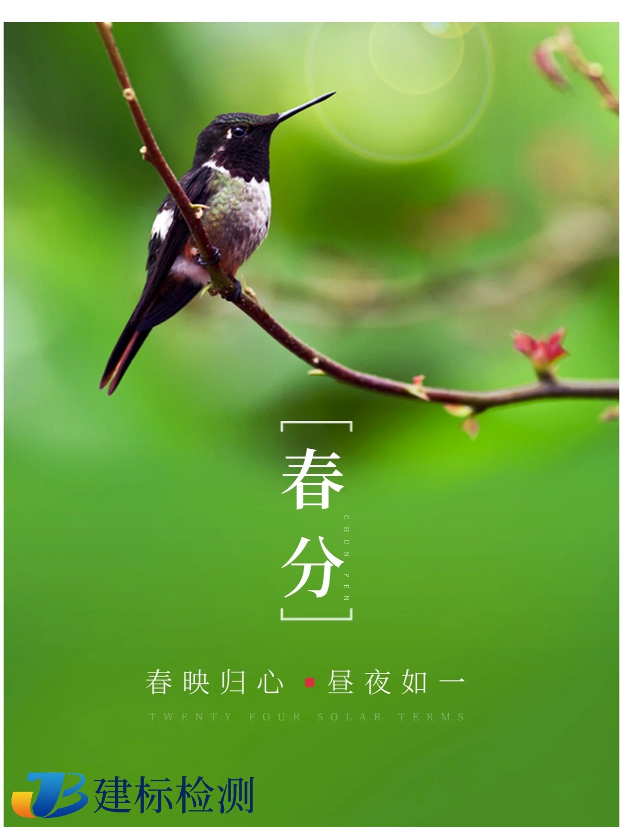 3月20日|春分