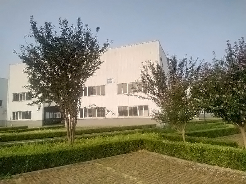 Real scene of the factory Real scene of the factory