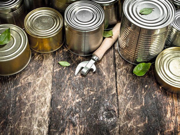 How are canned foods preserved?
