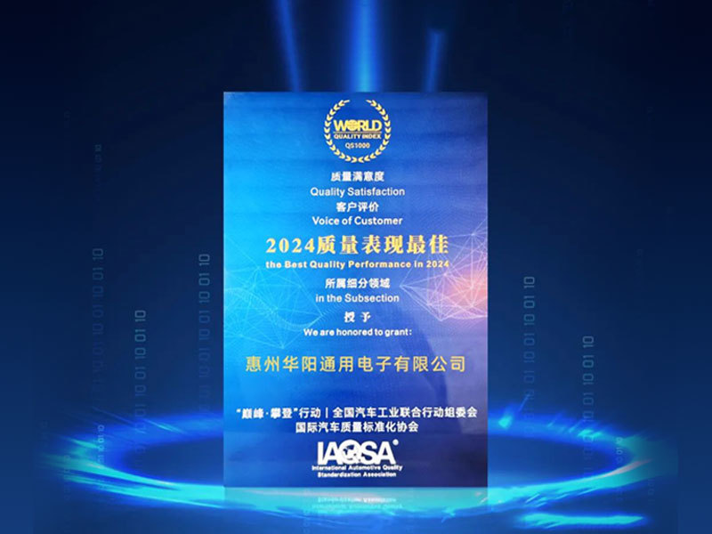 “譽”你同行 | ADAYO華陽旗下兩家子公司榮獲“2024質(zhì)量表現(xiàn)最佳”稱號