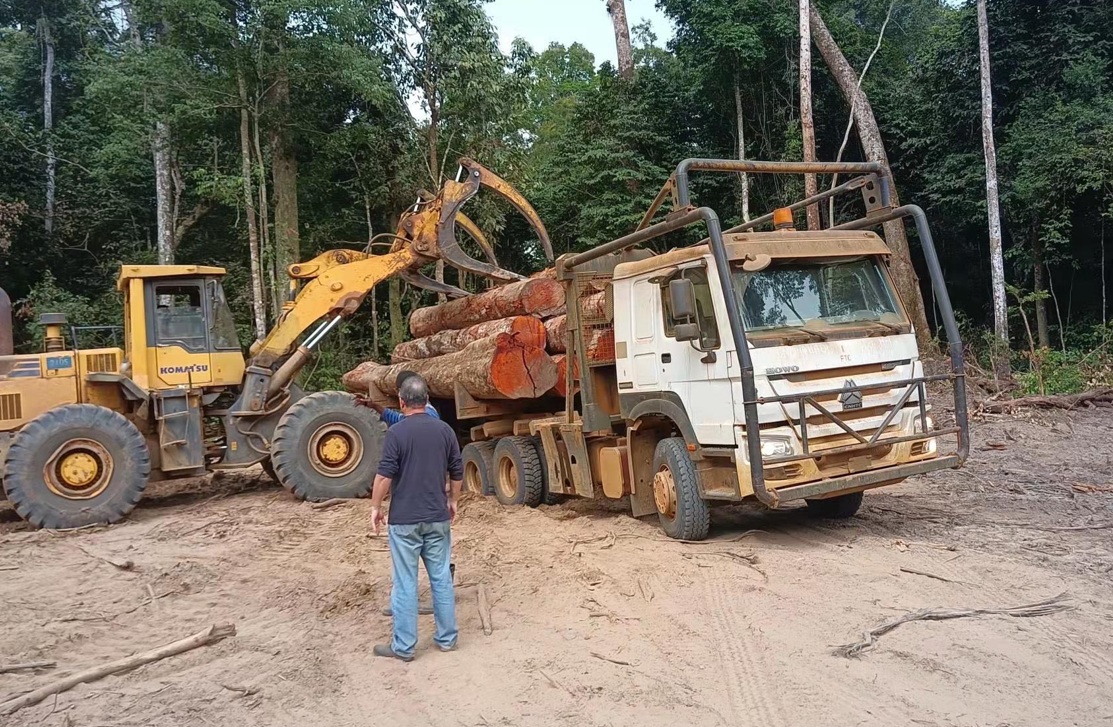 Sinotruk HOWO log truck loading logs at the forest area yard