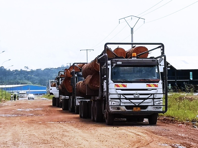 Log transport truck fully loaded