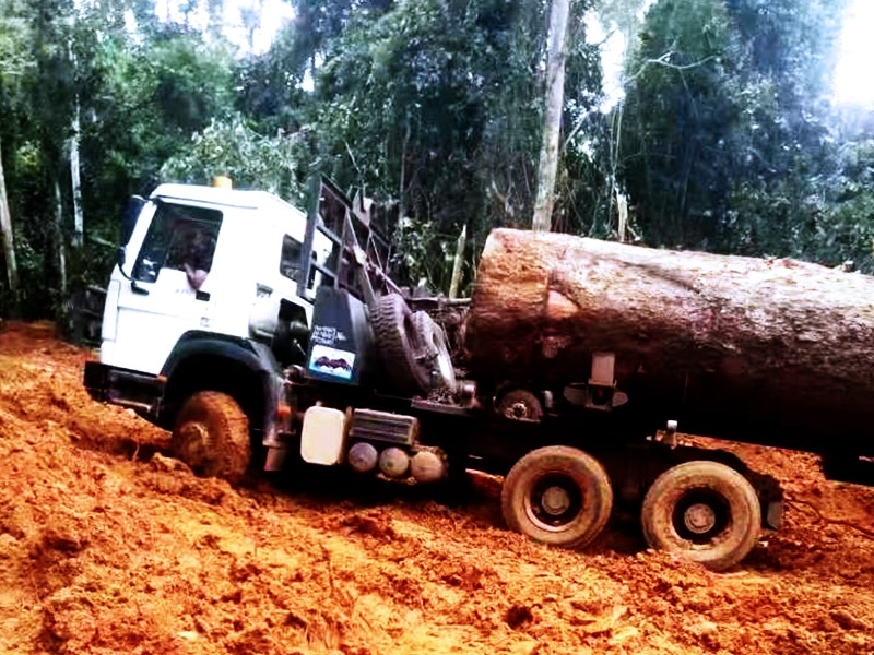 Log truck working in harsh conditions after rain in forest area
