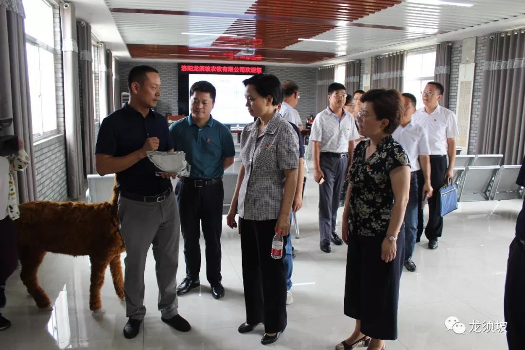 洛陽市人民政府副市長陳淑欣帶領(lǐng)市人社局、市科技局等部門領(lǐng)導(dǎo)調(diào)研龍須坡星創(chuàng)天地