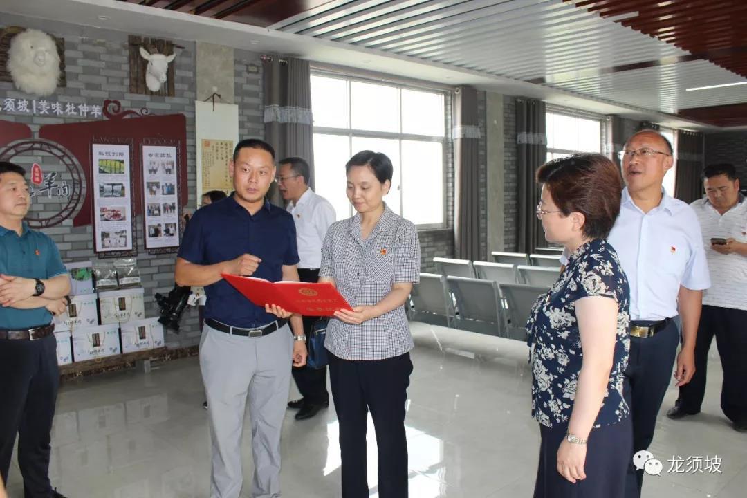洛陽市人民政府副市長陳淑欣帶領(lǐng)市人社局、市科技局等部門領(lǐng)導(dǎo)調(diào)研龍須坡星創(chuàng)天地
