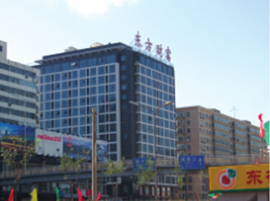 北京东方财富中心