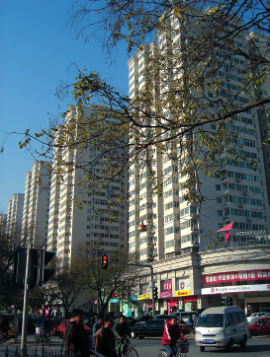 北京今日家园