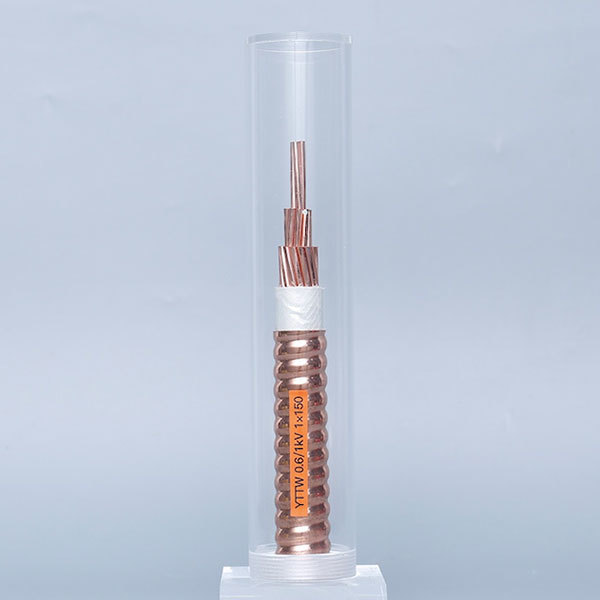 YTTW 0.61kV 1X150