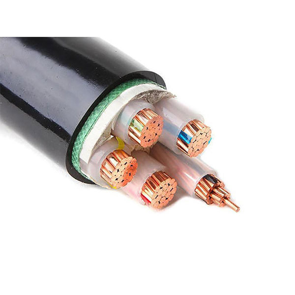 Low voltage power cord