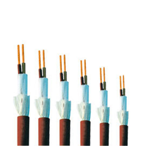 Fluor plastic insulation and protective high temperature resistance cable
