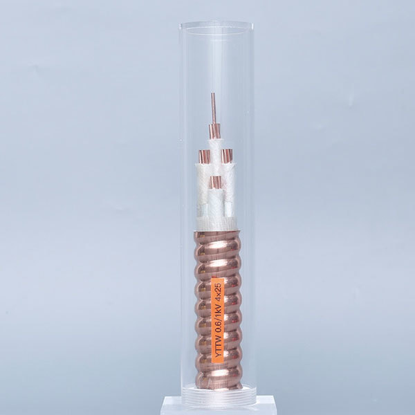 YTTW 0.61kV 4X25