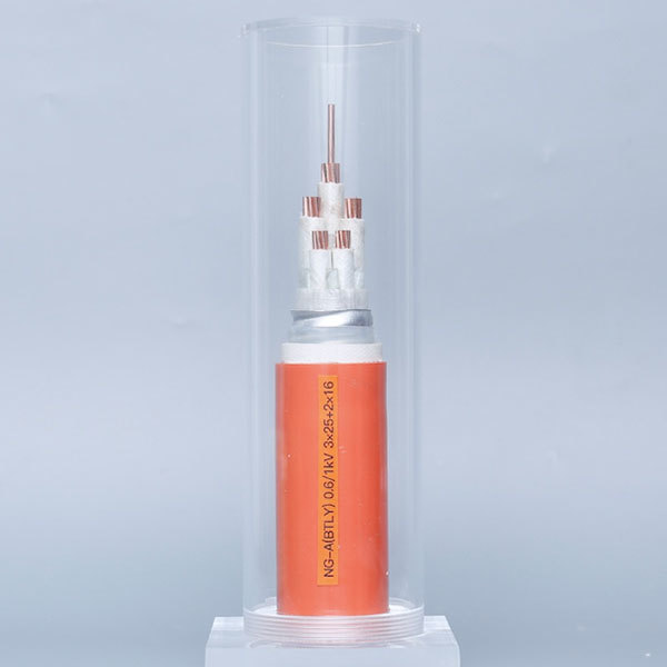 NG-A(BTLY) 0.61kV 3X25+2X16