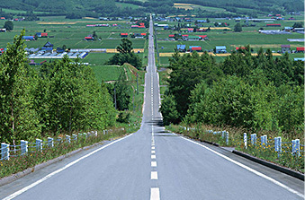 Suburban road lighting works