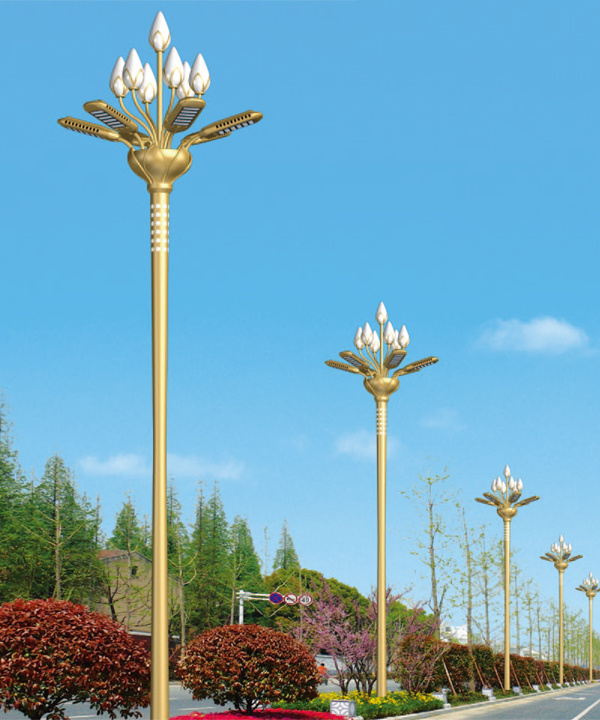 Combination light-SFZH-001
