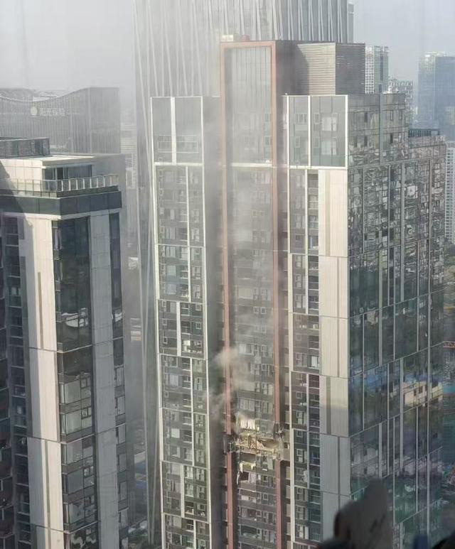 深圳湾悦府