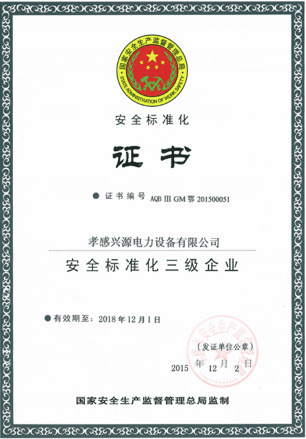 安全標(biāo)準(zhǔn)化
