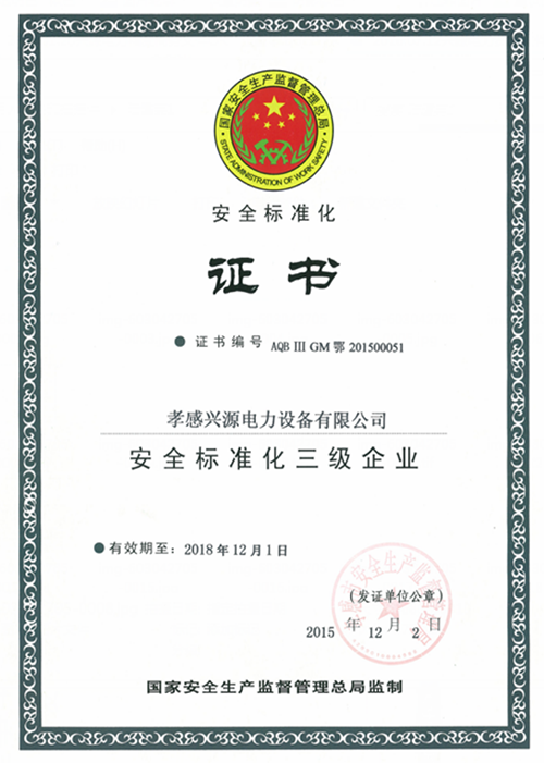安全標(biāo)準(zhǔn)化證書