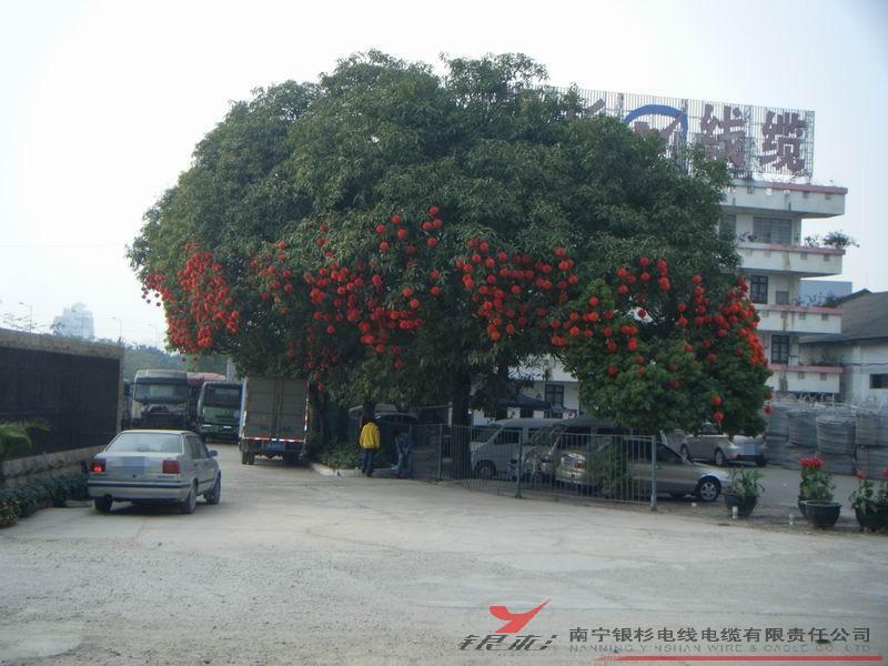 掛燈籠紅紅火火過新年