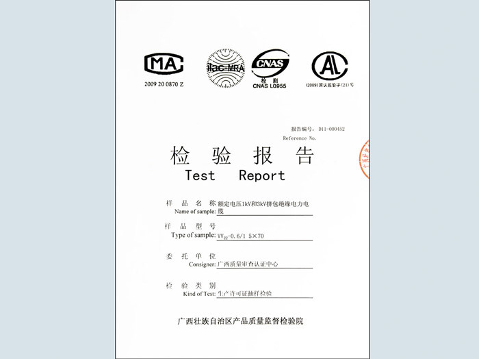 檢驗報告