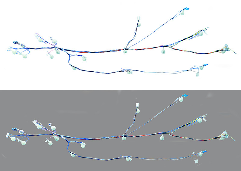 Wiring harness Wiring harness