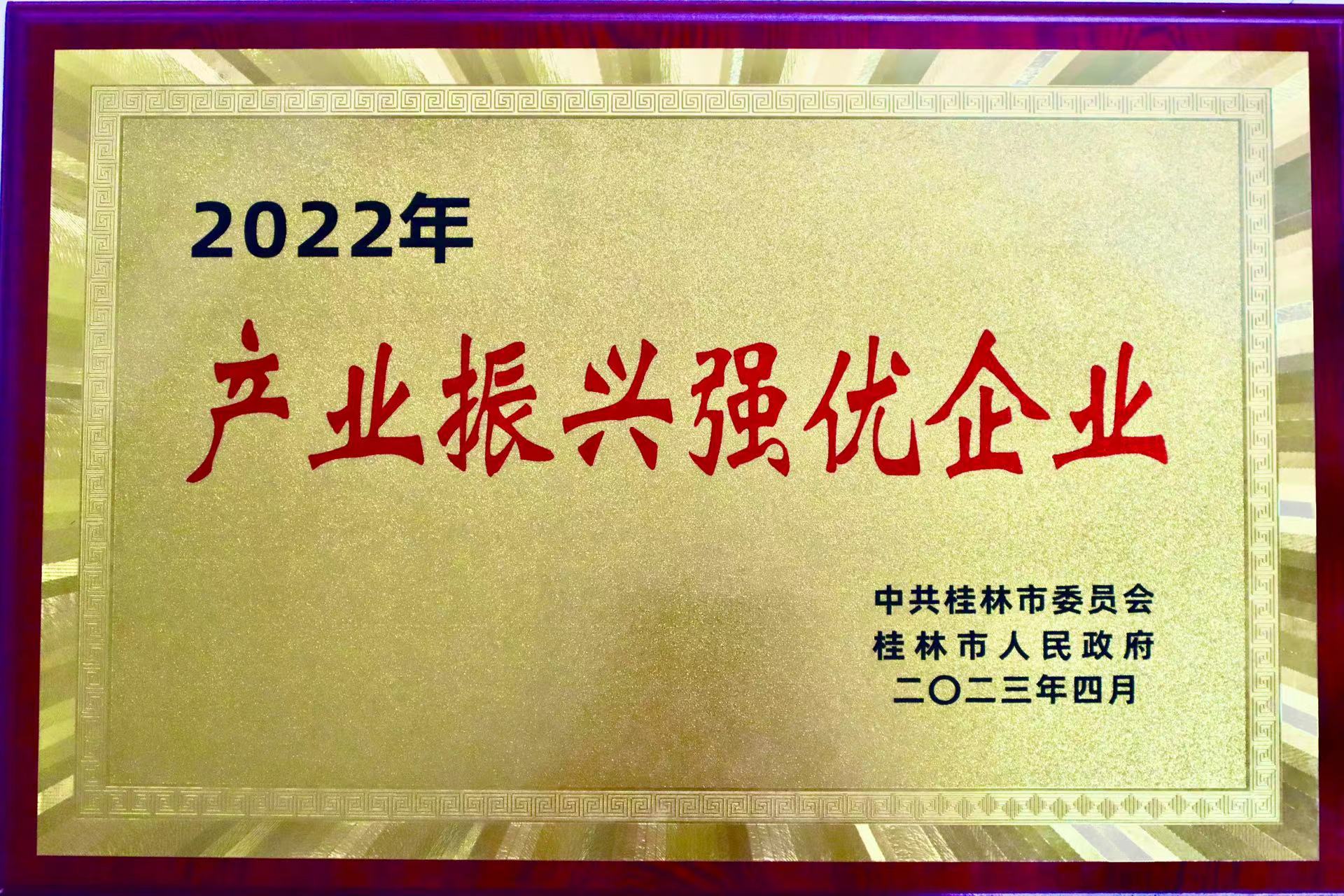 2022年产业振兴强优企业