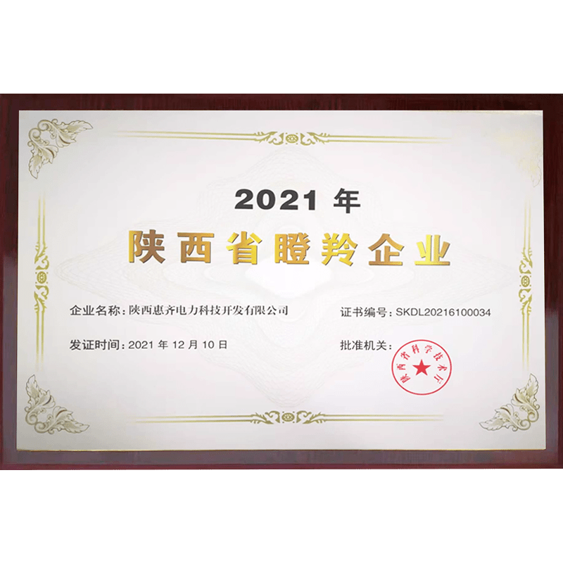 陕西省瞪羚企业