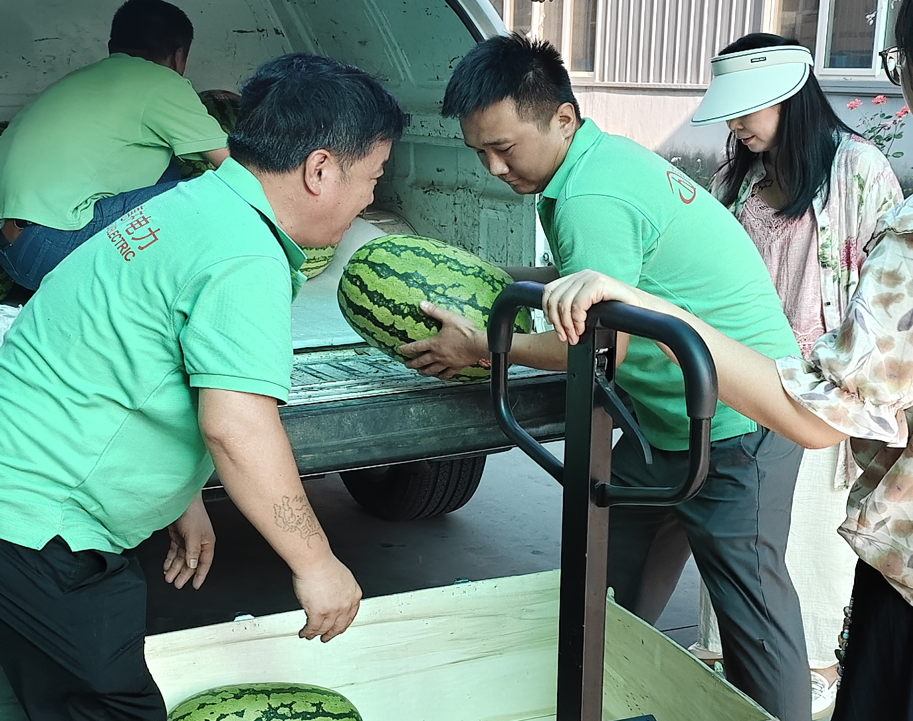 惠齐电力：40℃高温下，车间涌来一片“清凉绿洲”