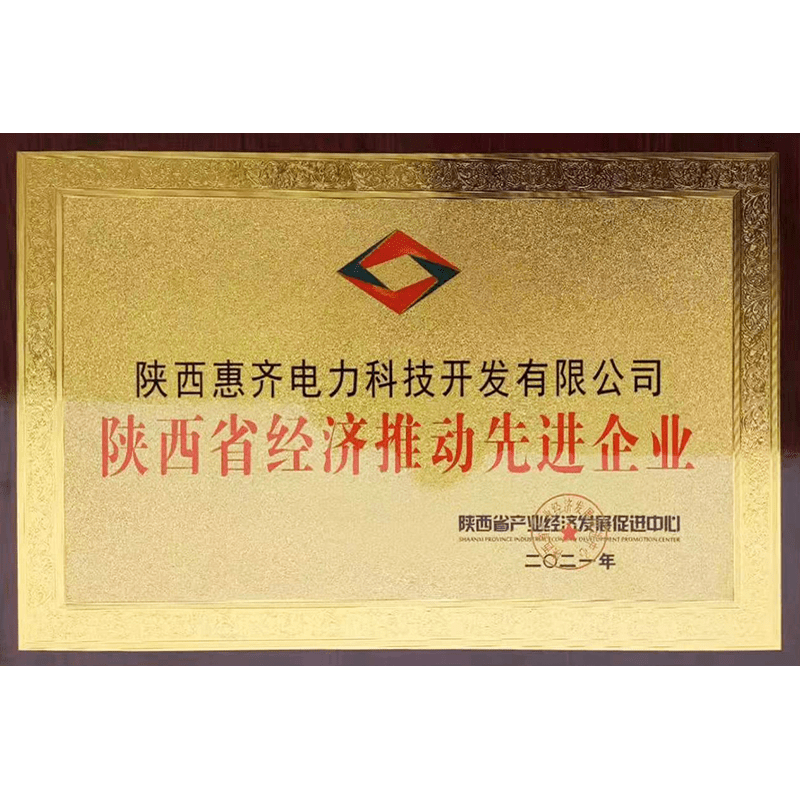 陕西省经济推动先进企业