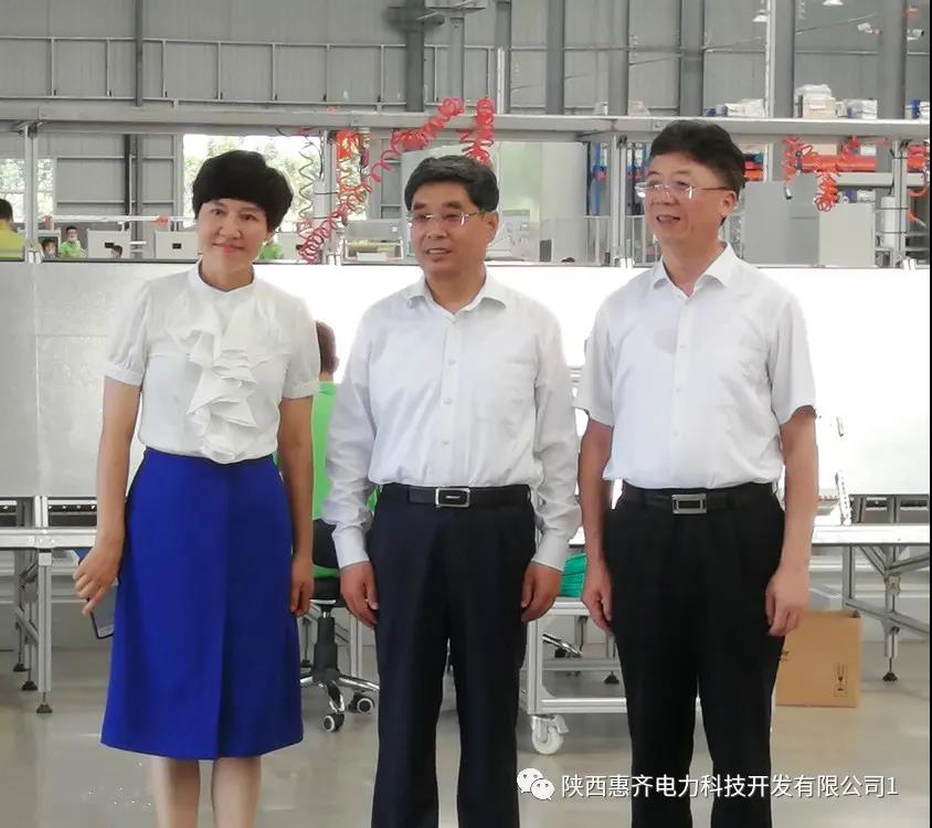 咸阳市委领导莅临惠齐电力考察，集团董事长陈德菊陪同