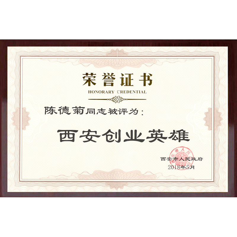 西安创业英雄奖