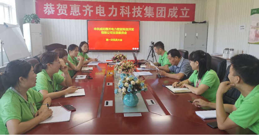 中共咸阳惠齐智能电力科技开发有限公司支部委员会 召开第一次党员大会及支部委员会简讯