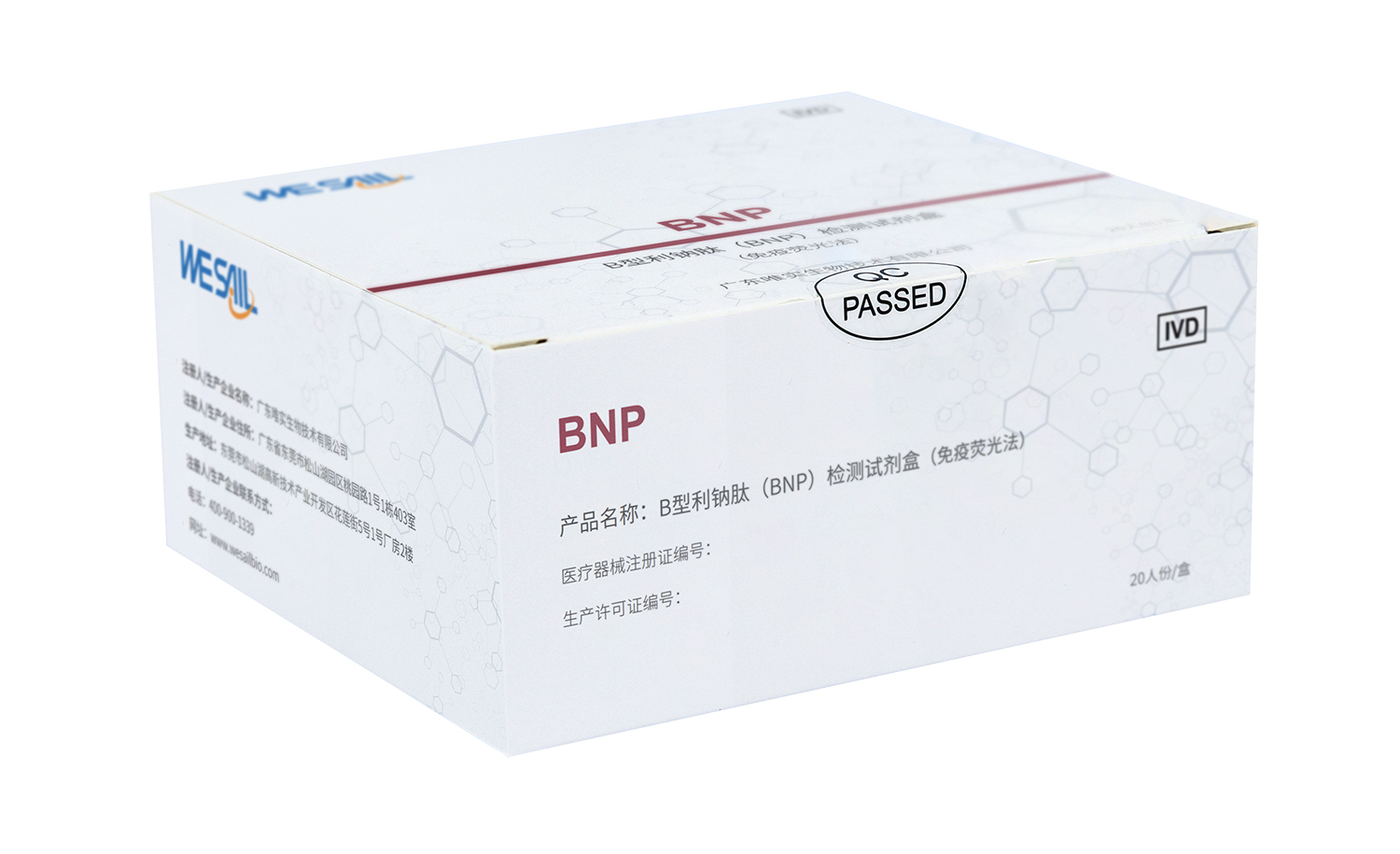 BNP