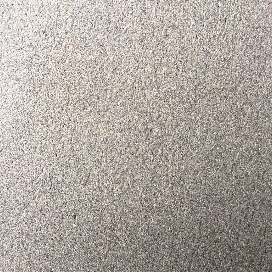 Vein cut-Small fosil brushed