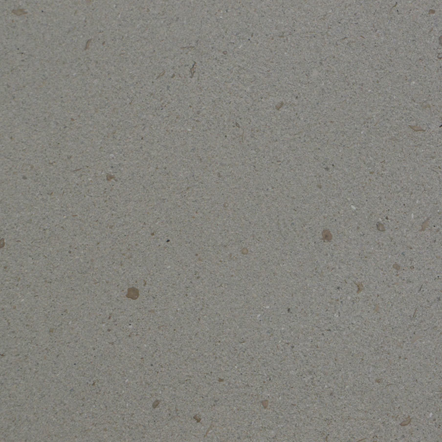 Cross cut-Big fosil leathered