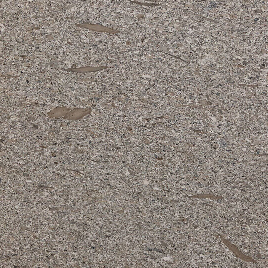 Dark color-Big fosil