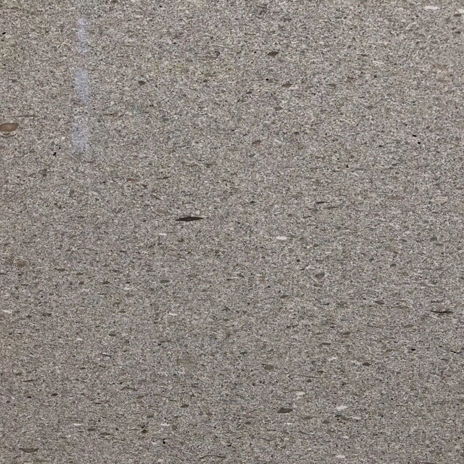 Dark color-Small fosil