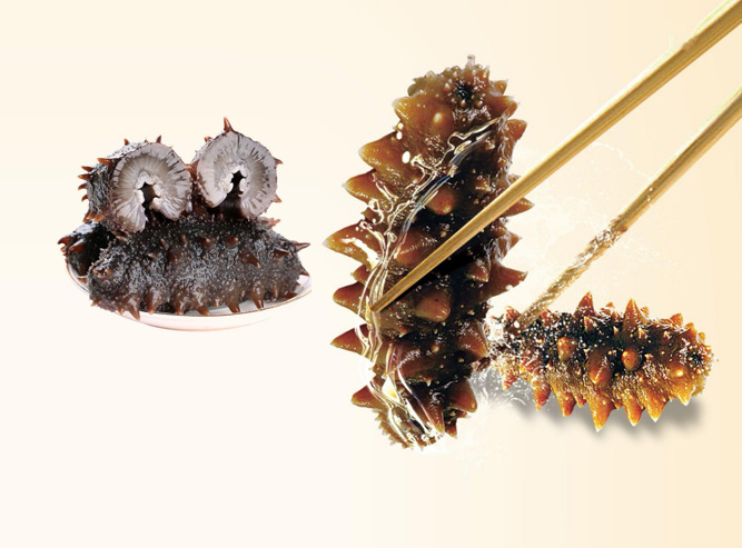 QUICK-FROZEN FRESH SEA CUCUMBER