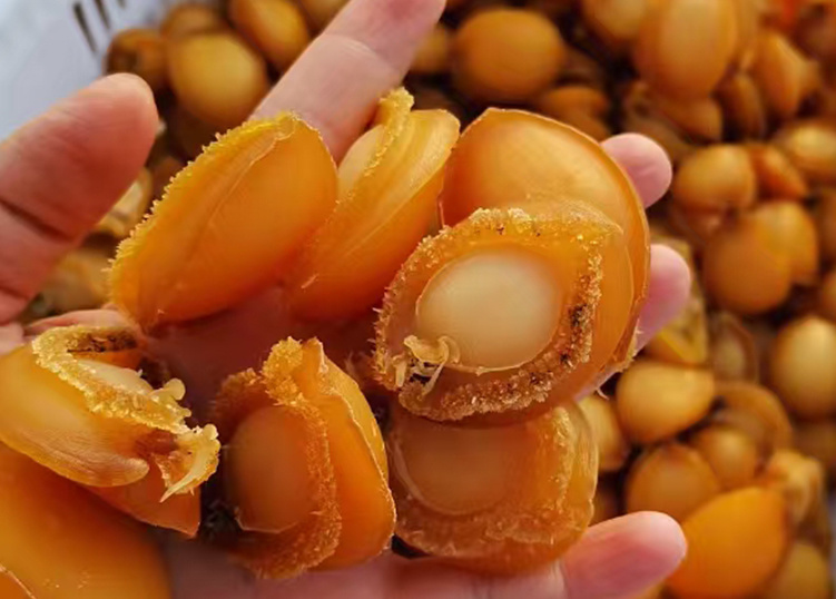 Dried abalone