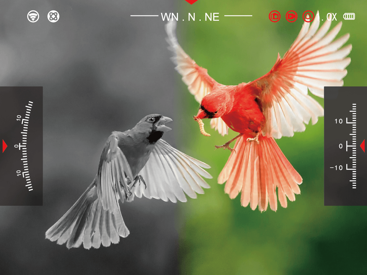 Image saturation of the microlight sight