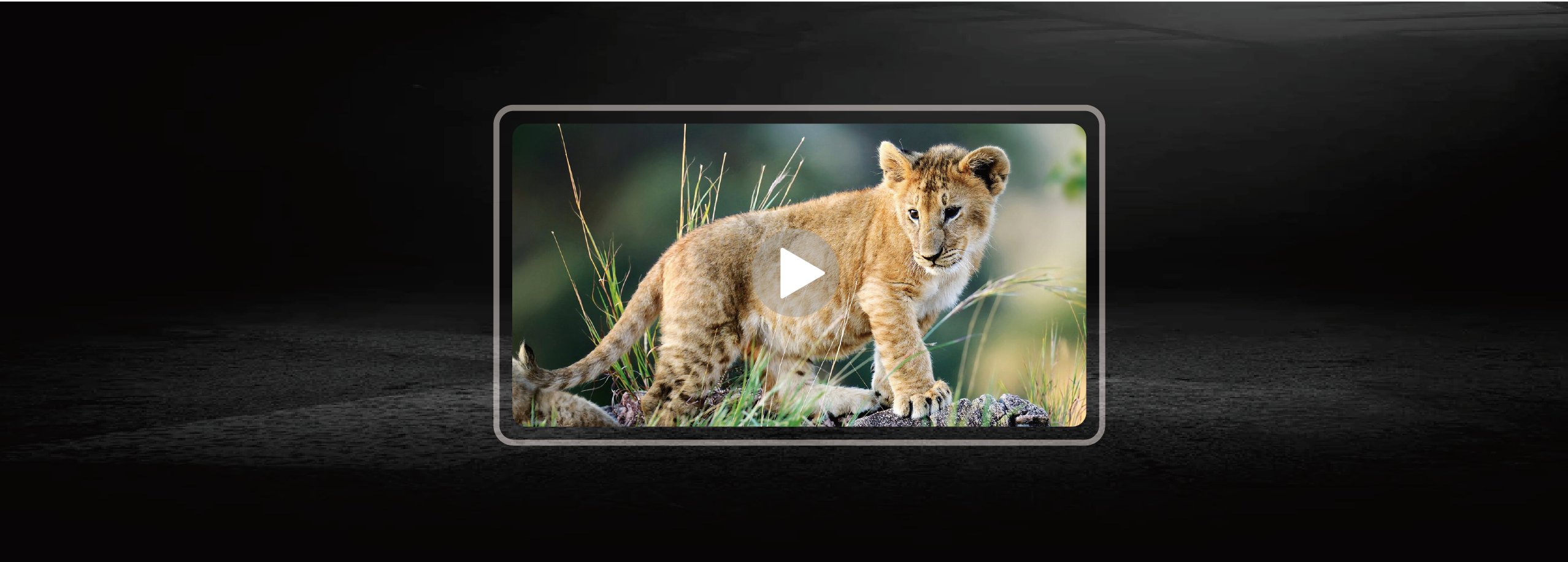 Video Center