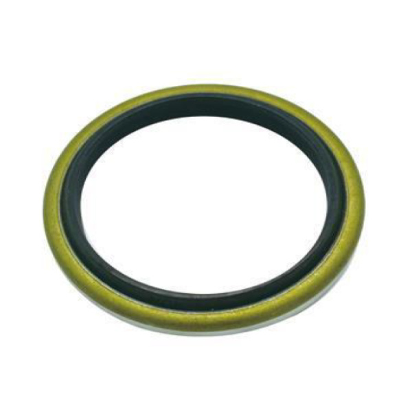 Oil seal