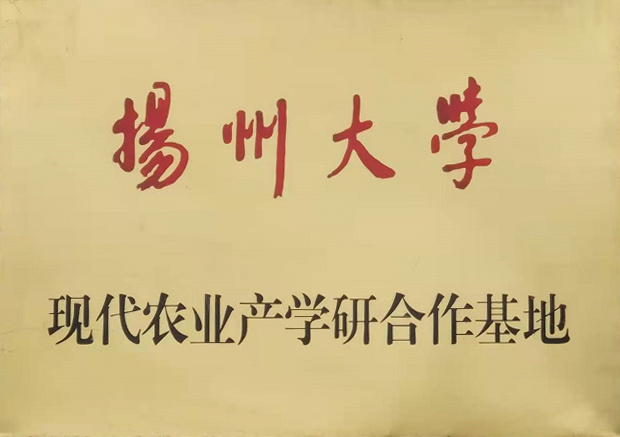  榮譽(yù)資質(zhì)