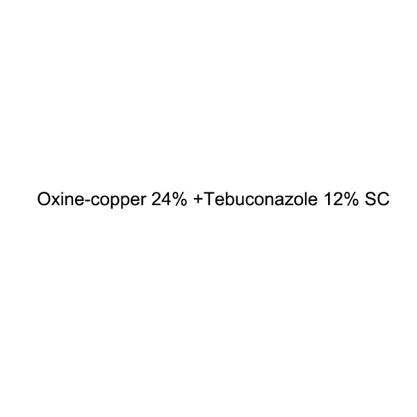 Oxine-copper 24% + Tebuconazole 12% SC